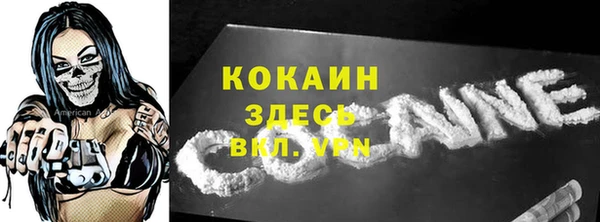 гидра Кукмор