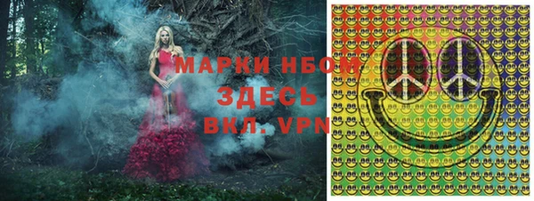 гидра Кукмор