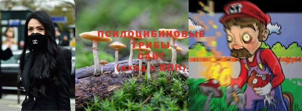гидра Кукмор